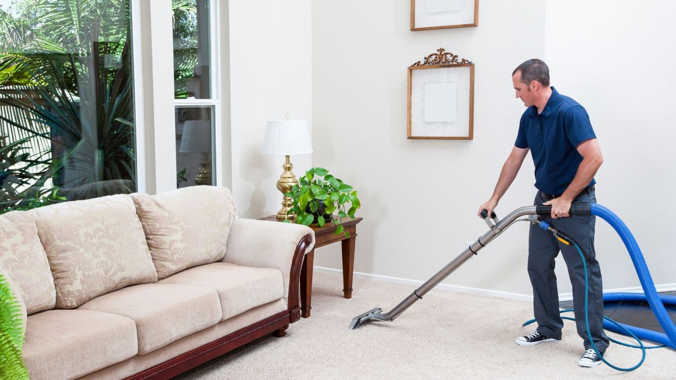 Carpet Cleaning
