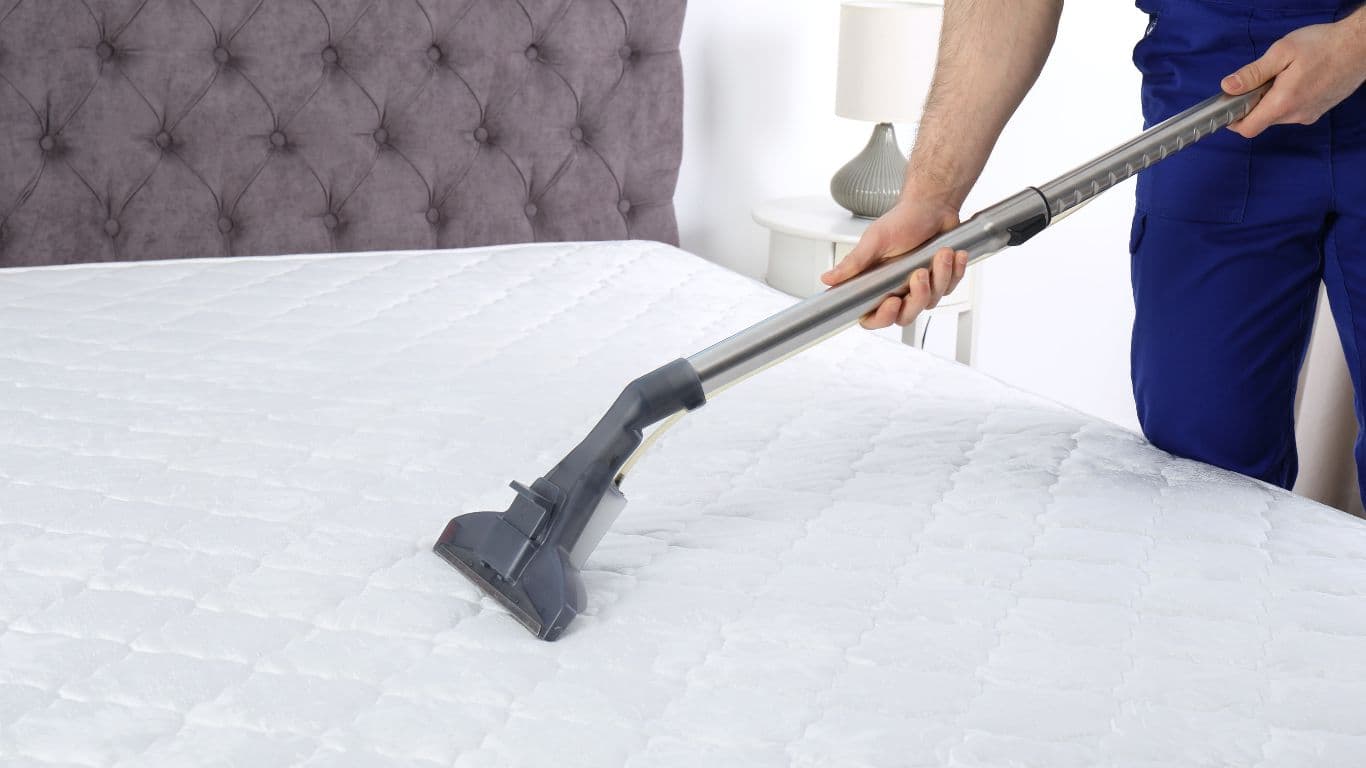 Mattress Cleaning
