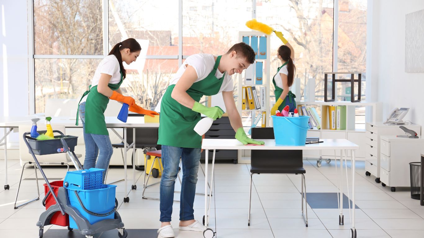 House & Office Cleaning